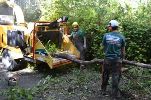 tree services Azusa